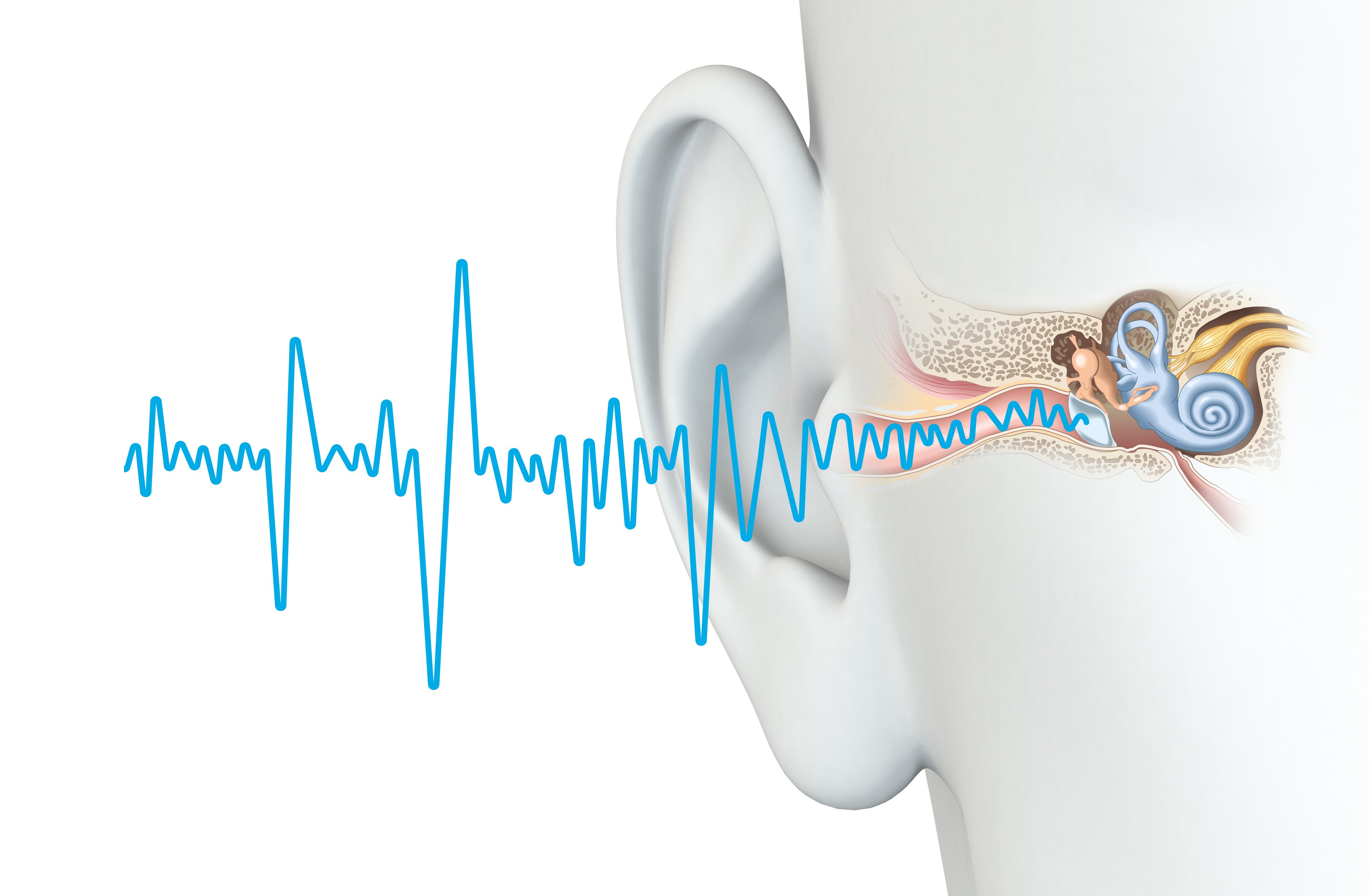ODYO Blog _ How the ear works